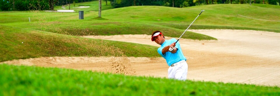 Advance Golf Lessons By World Class Golf Professionals